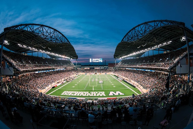 来潜力的期 来潜力的期