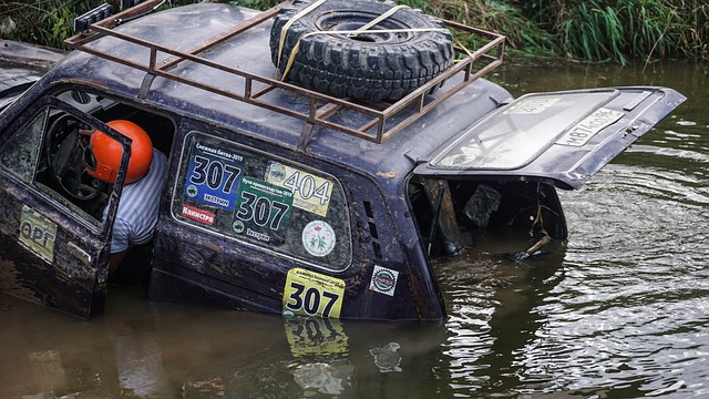 策略与国际 策略与国际