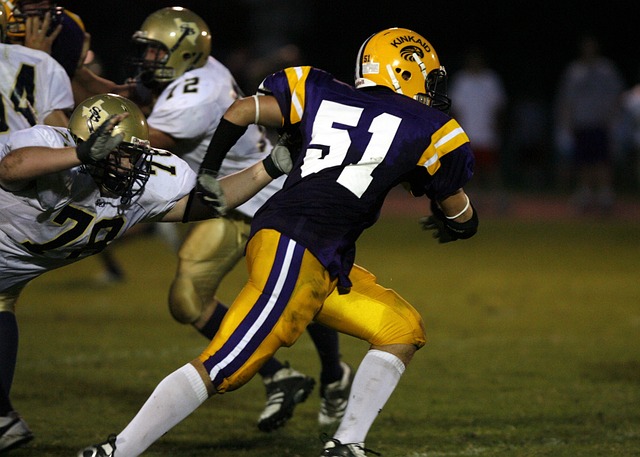 从球迷到球 从球迷到球