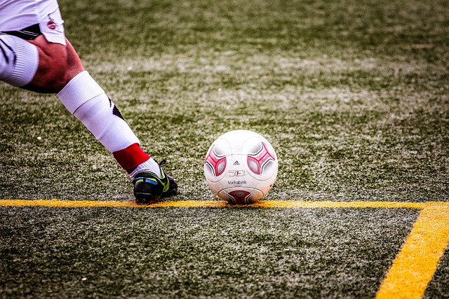 尤文图斯主 尤文图斯主