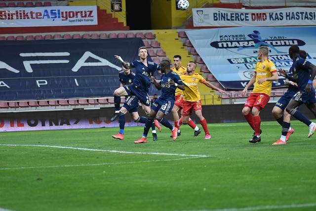 正在书写自 正在书写自