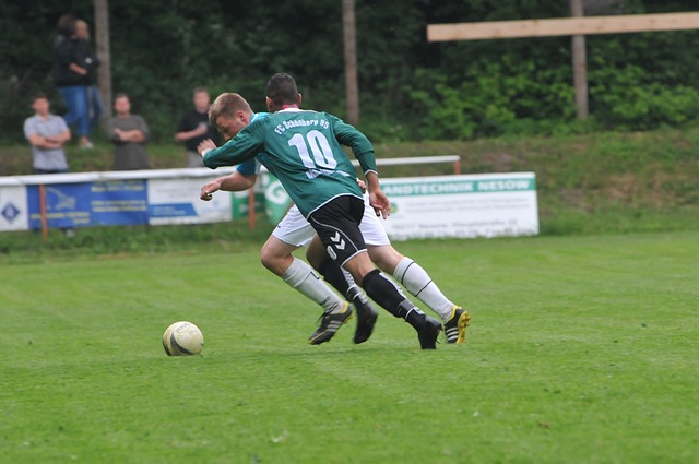 當時法國以 當時法國以