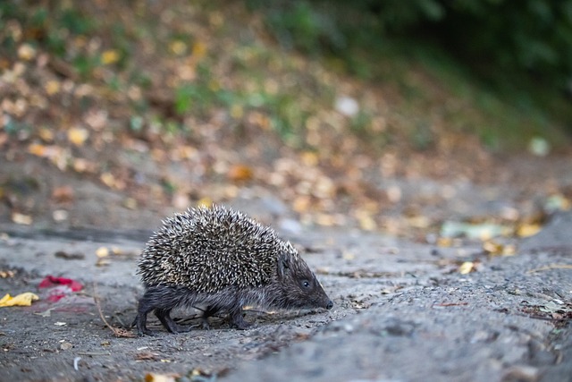 体现了个人 体现了个人